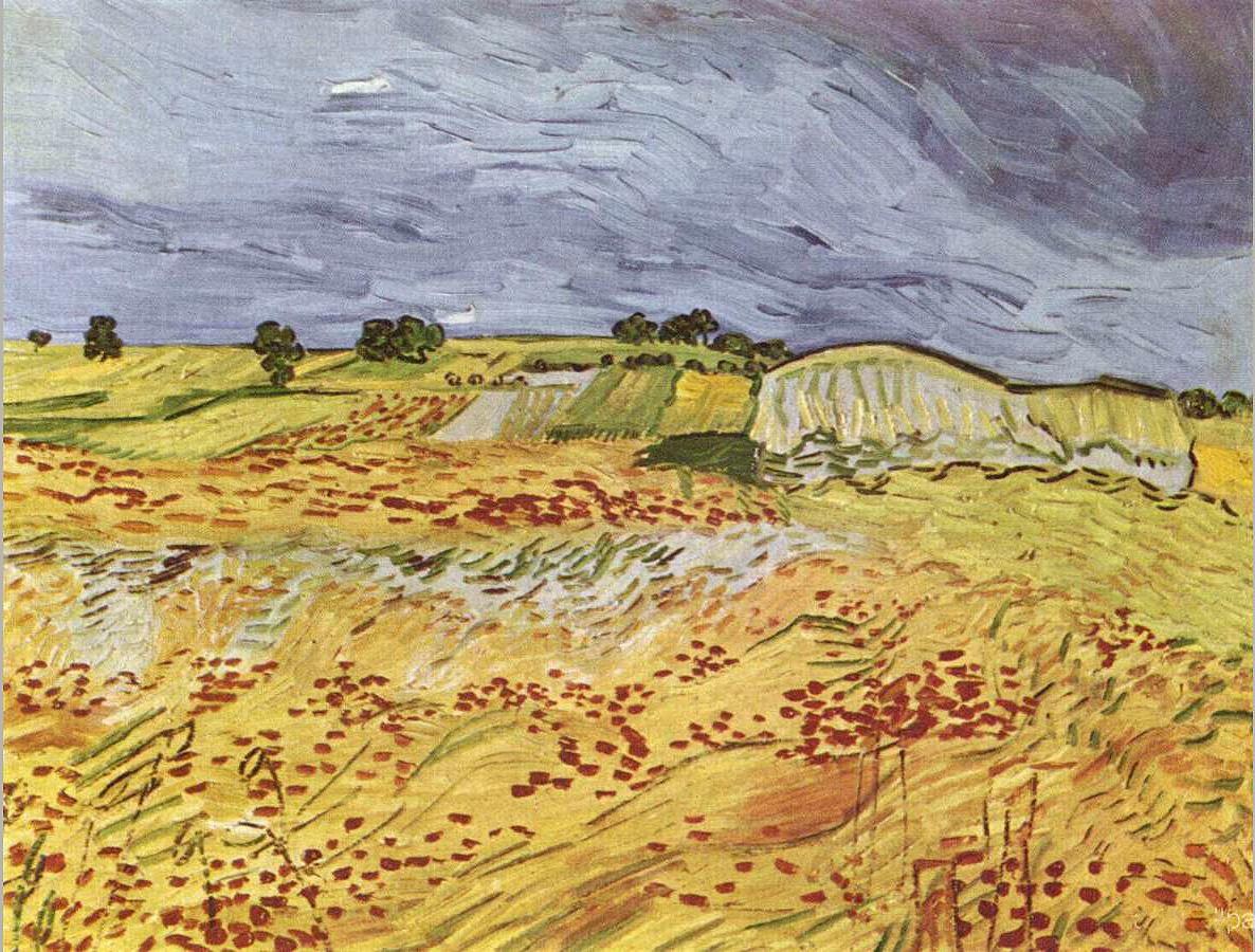 Vincent van Gogh The Plain at Auvers